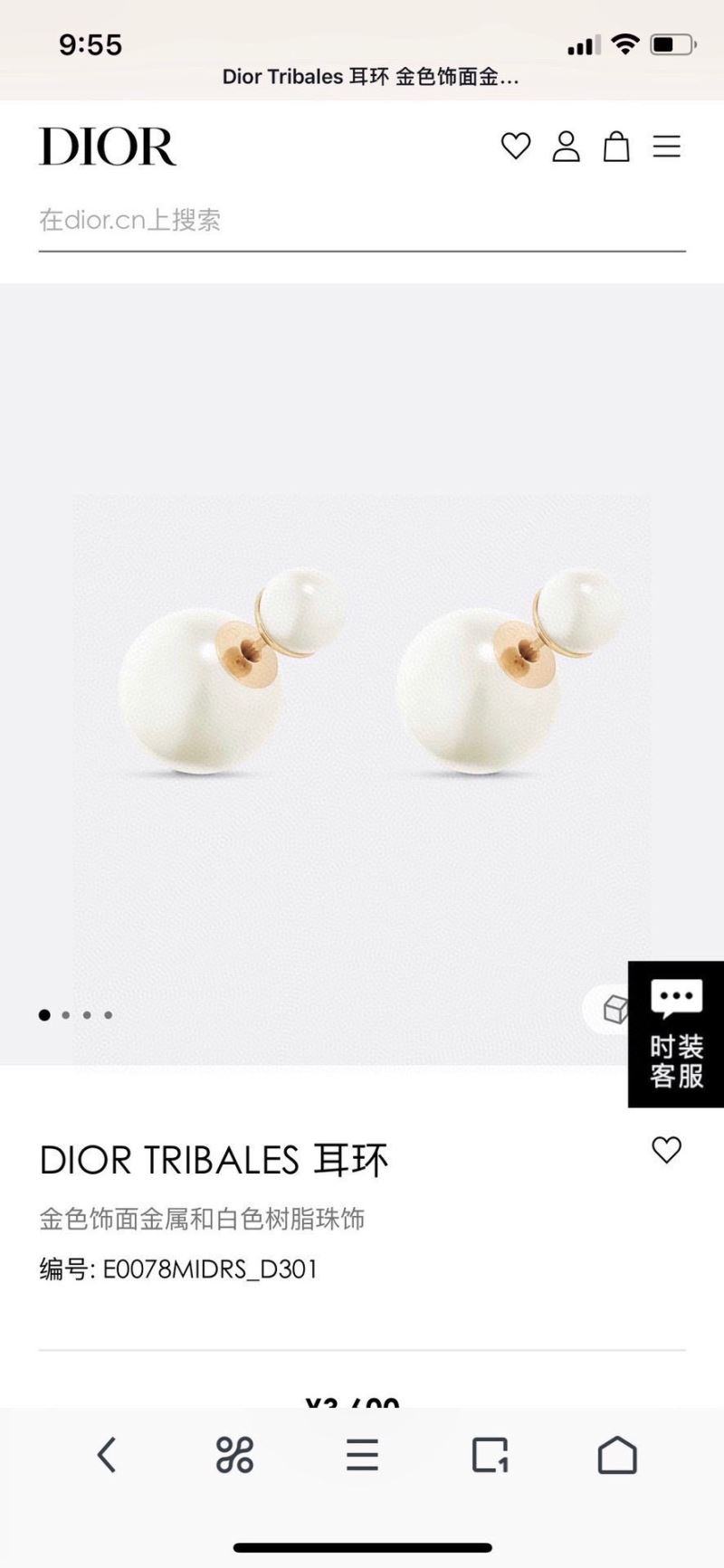 Christian Dior Earrings